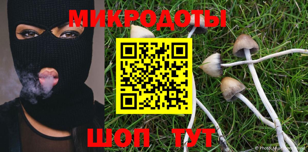 Псилоцибиновые грибы мухоморы  Псилоцибиновые грибы Psilocybine cubensis  Вход с VPN  Краснотурьинск 